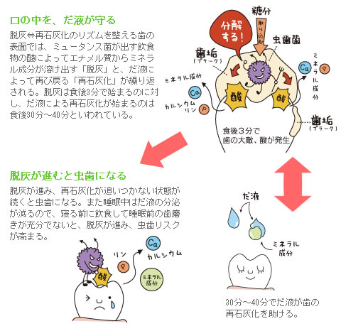 よくかんでだ液の分泌をよくし、口内の洗浄・酸の中和を進めるのが虫歯を防ぐポイント。